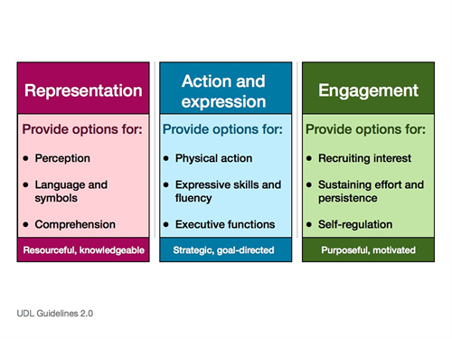UDL guidelines overview